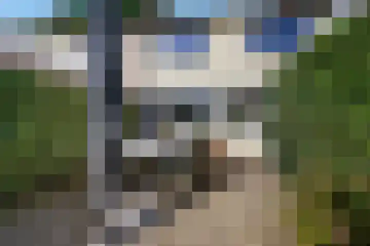 Van Eklaan 32 Nieuw-Schoonebeek thumbnail 28