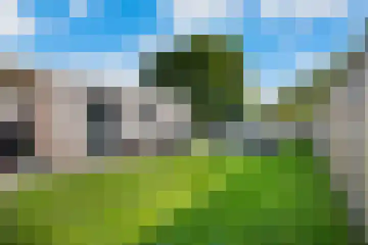 Van Eklaan 32 Nieuw-Schoonebeek thumbnail 29