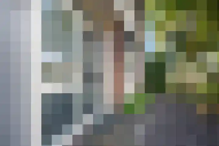 Van Eklaan 32 Nieuw-Schoonebeek thumbnail 35