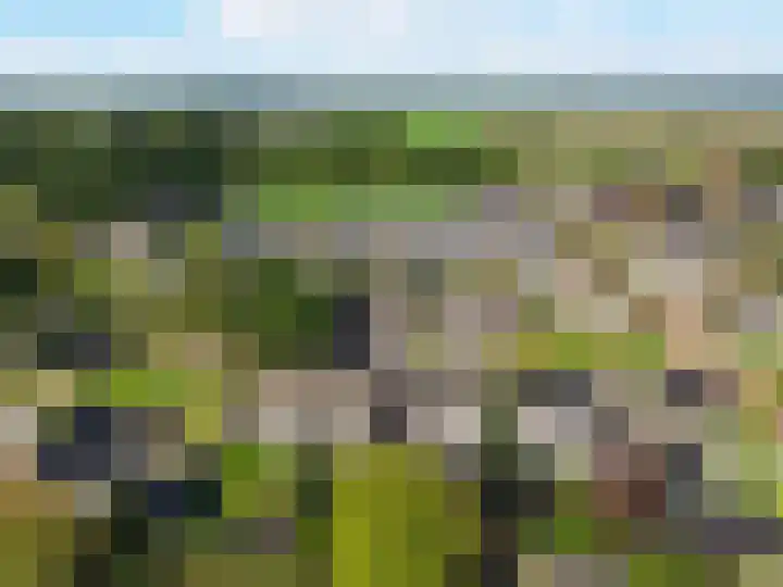 Van Eklaan 32 Nieuw-Schoonebeek thumbnail 37