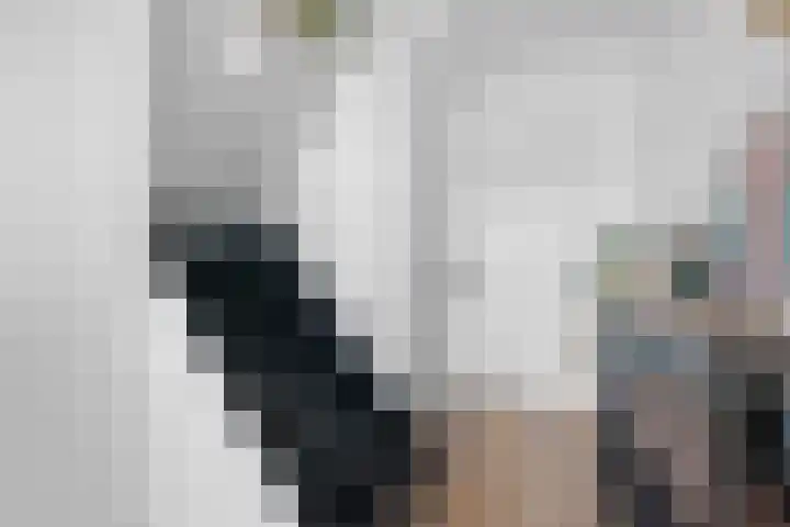 Van Eklaan 32 Nieuw-Schoonebeek thumbnail 4