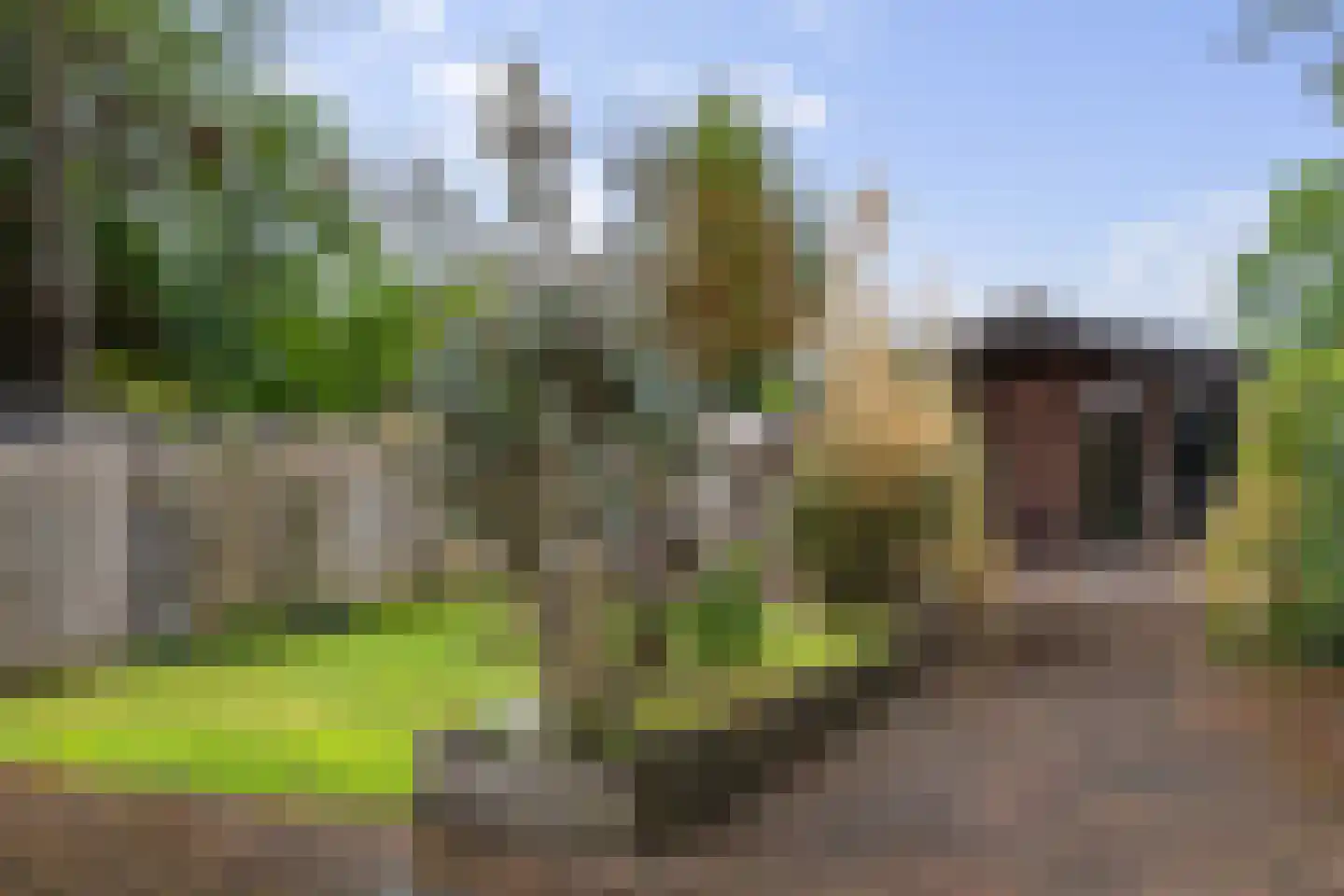 Van Eklaan 5 Nieuw-Schoonebeek thumbnail 10
