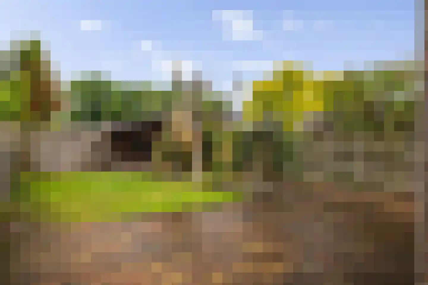 Van Eklaan 5 Nieuw-Schoonebeek thumbnail 11