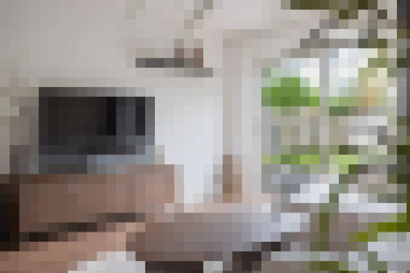 Van Eklaan 5 Nieuw-Schoonebeek thumbnail 16