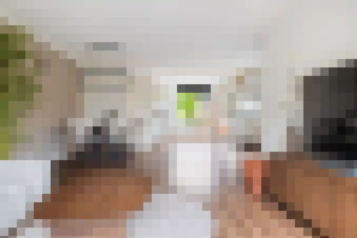 Van Eklaan 5 Nieuw-Schoonebeek thumbnail 18