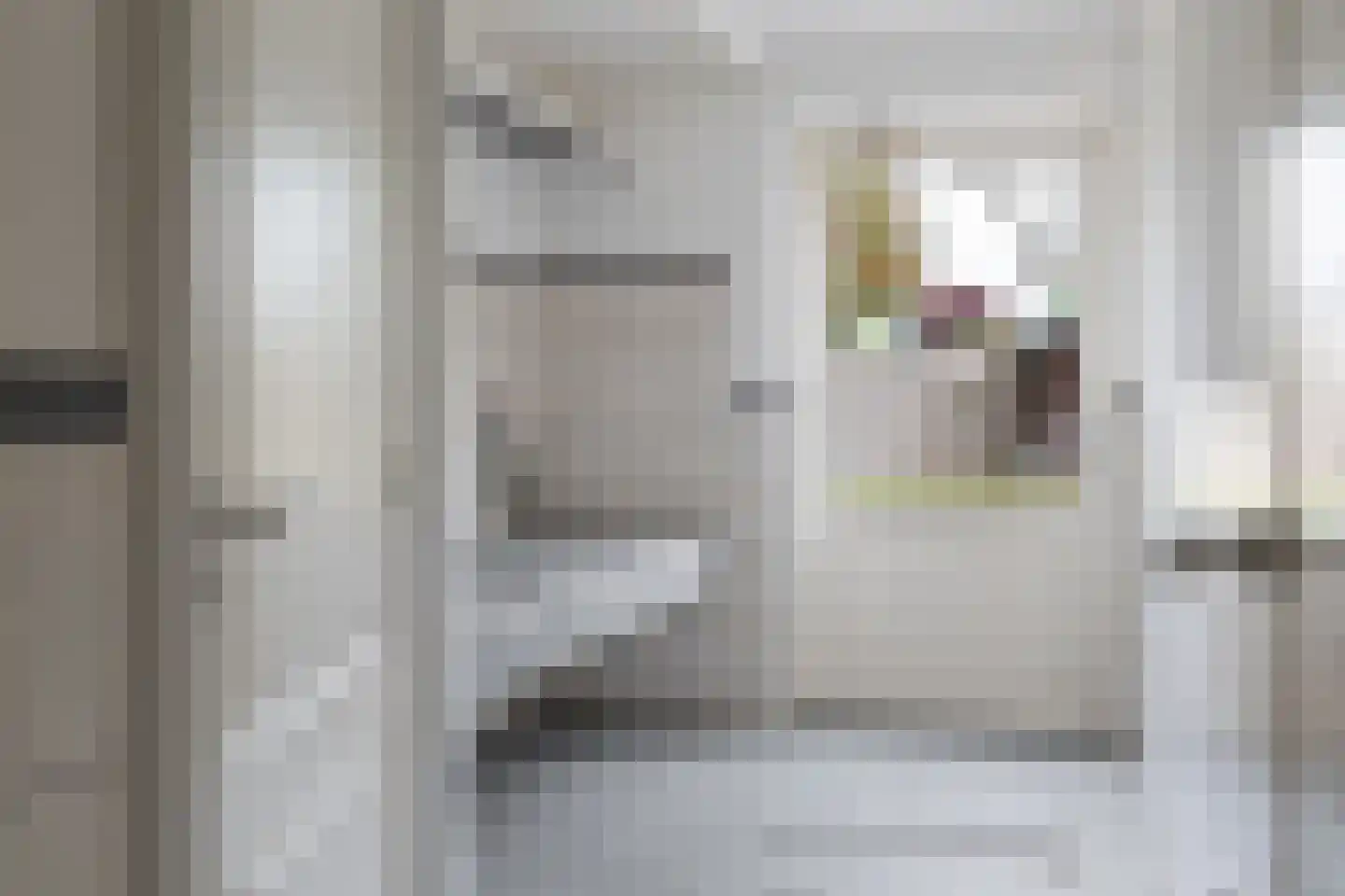Van Eklaan 5 Nieuw-Schoonebeek thumbnail 25