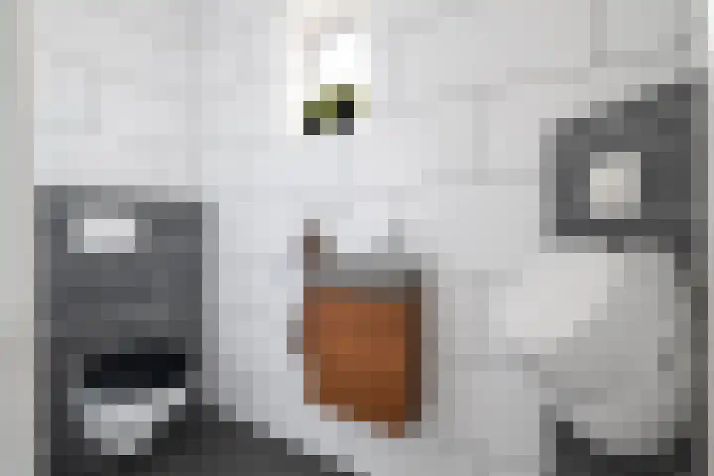 Van Eklaan 5 Nieuw-Schoonebeek thumbnail 26