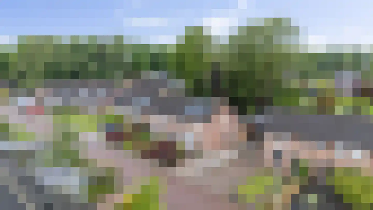 Van Eklaan 5 Nieuw-Schoonebeek thumbnail 41