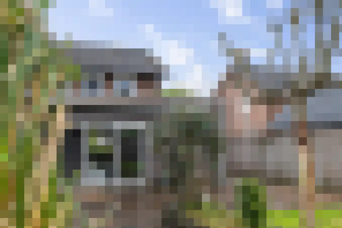 Van Eklaan 5 Nieuw-Schoonebeek thumbnail 8