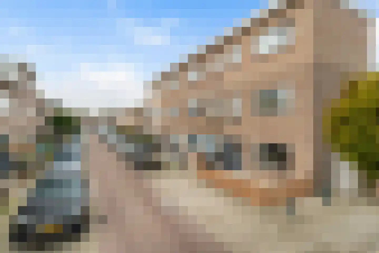 Van Elburgstraat 51 Den Haag thumbnail 32