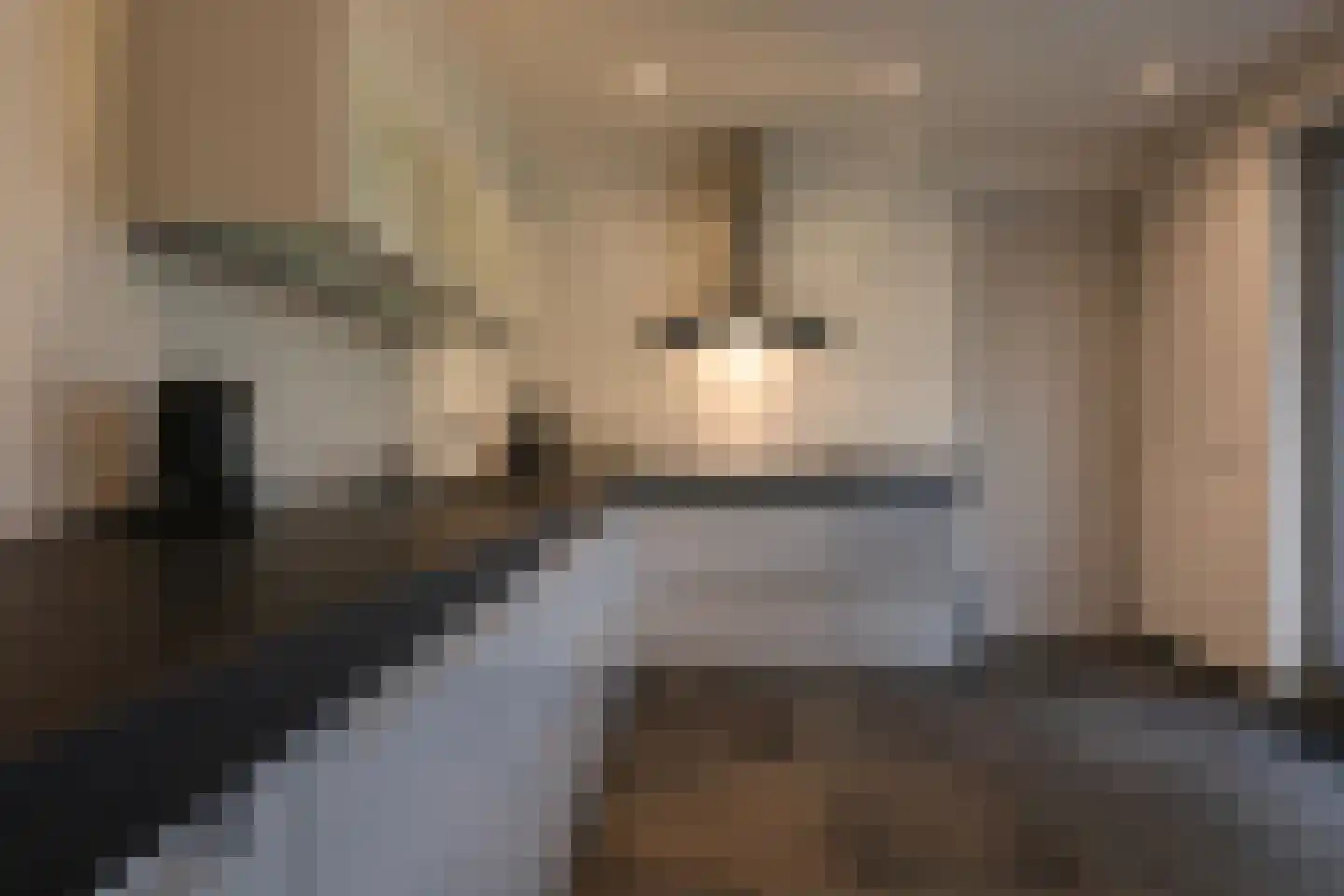 van Elmptstraat 70 Voerendaal thumbnail 10