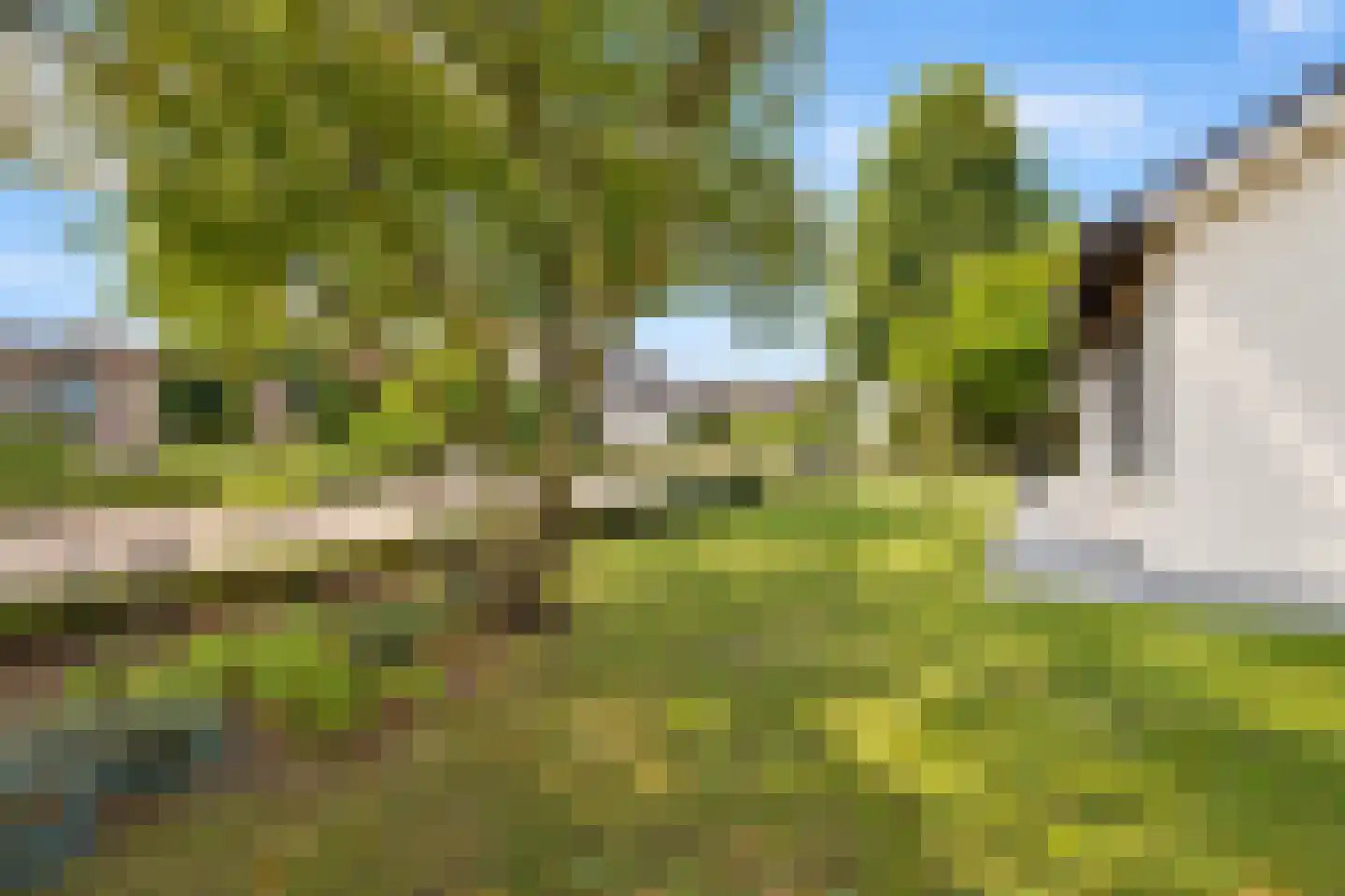 van Elswijckstraat 10 Boxmeer thumbnail 11