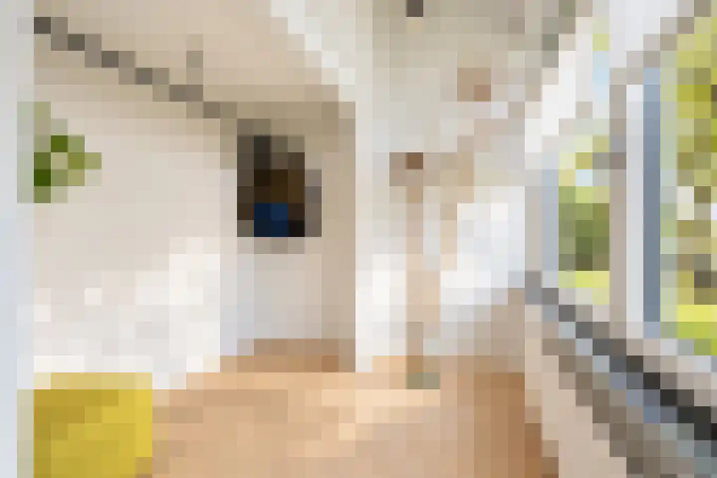 van Elswijckstraat 10 Boxmeer thumbnail 14