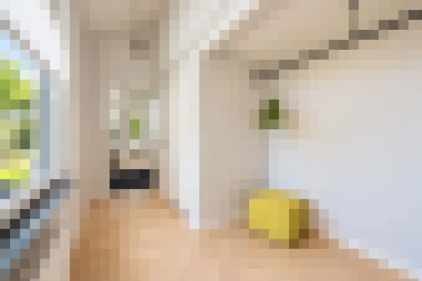 van Elswijckstraat 10 Boxmeer thumbnail 15