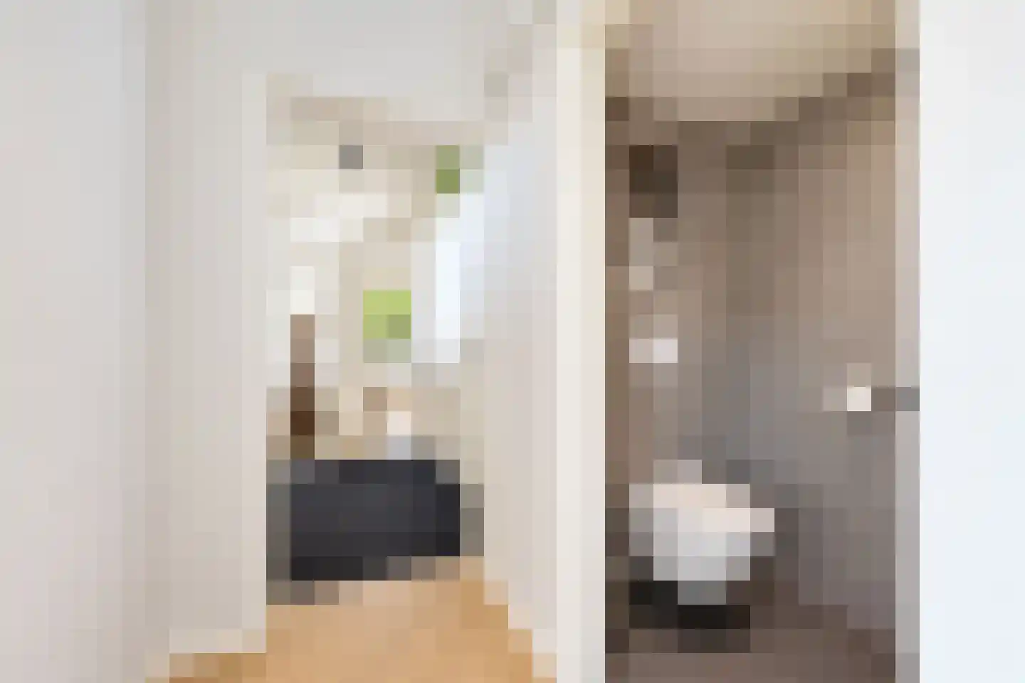 van Elswijckstraat 10 Boxmeer thumbnail 17