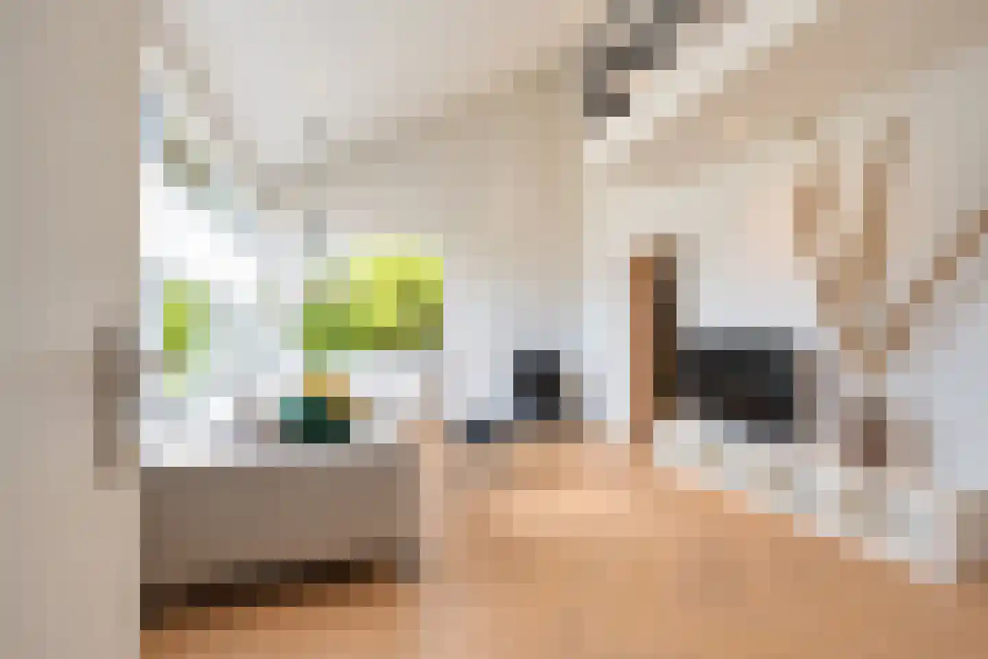 van Elswijckstraat 10 Boxmeer thumbnail 18