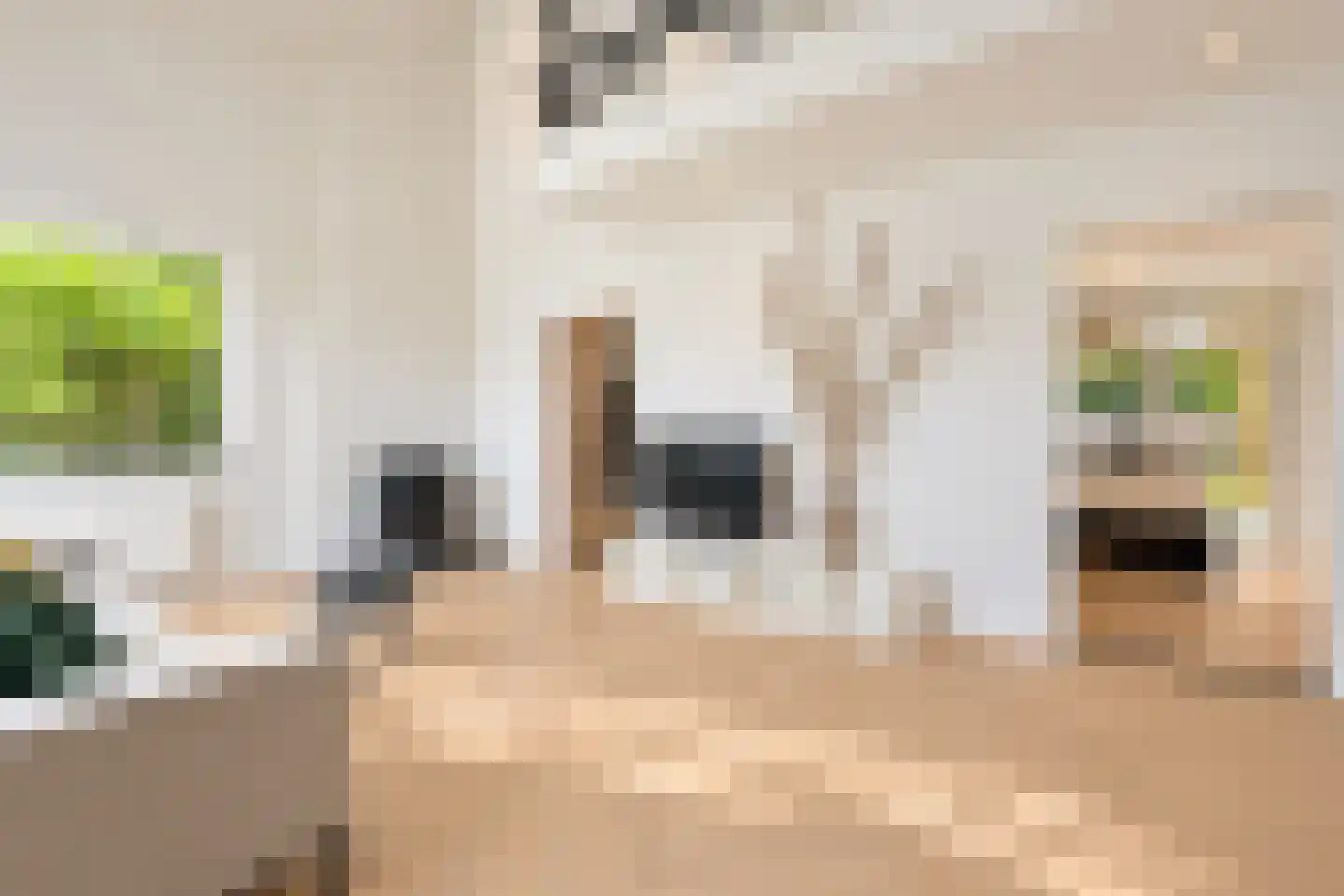van Elswijckstraat 10 Boxmeer thumbnail 19