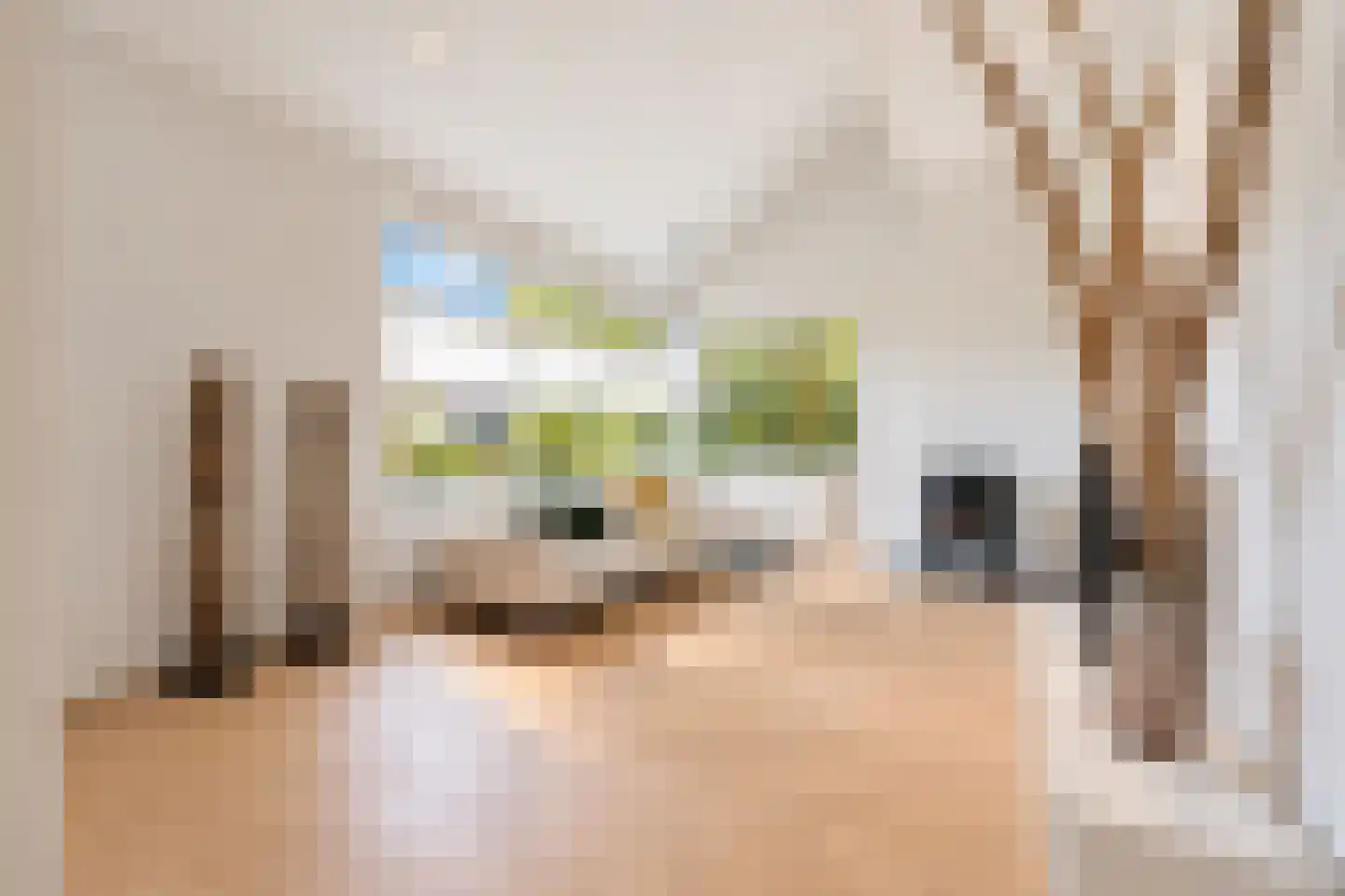 van Elswijckstraat 10 Boxmeer thumbnail 20