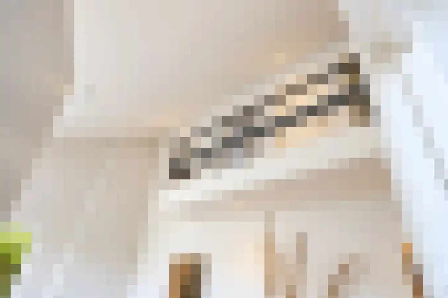 van Elswijckstraat 10 Boxmeer thumbnail 21