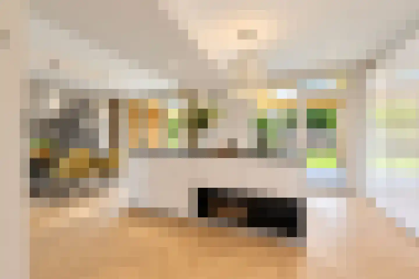 van Elswijckstraat 10 Boxmeer thumbnail 28
