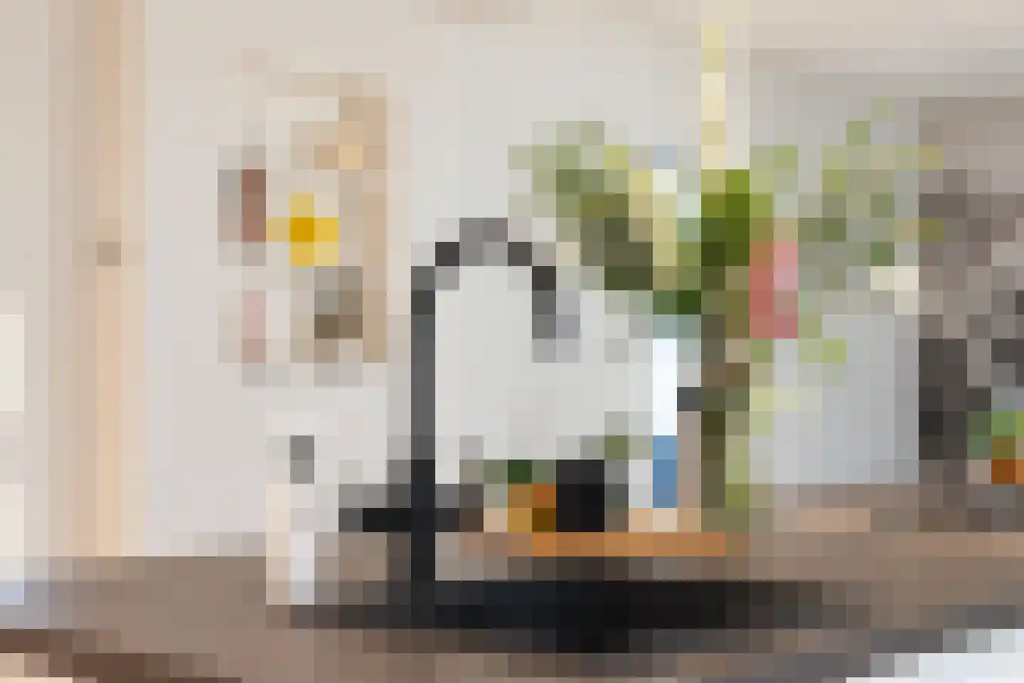 van Elswijckstraat 10 Boxmeer thumbnail 31