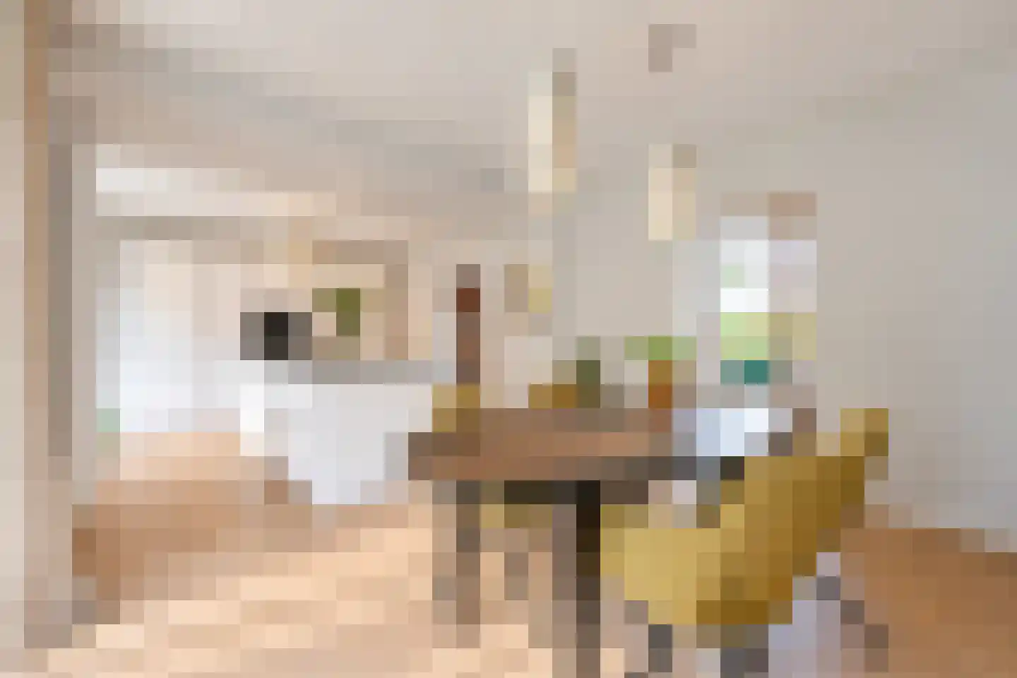van Elswijckstraat 10 Boxmeer thumbnail 37
