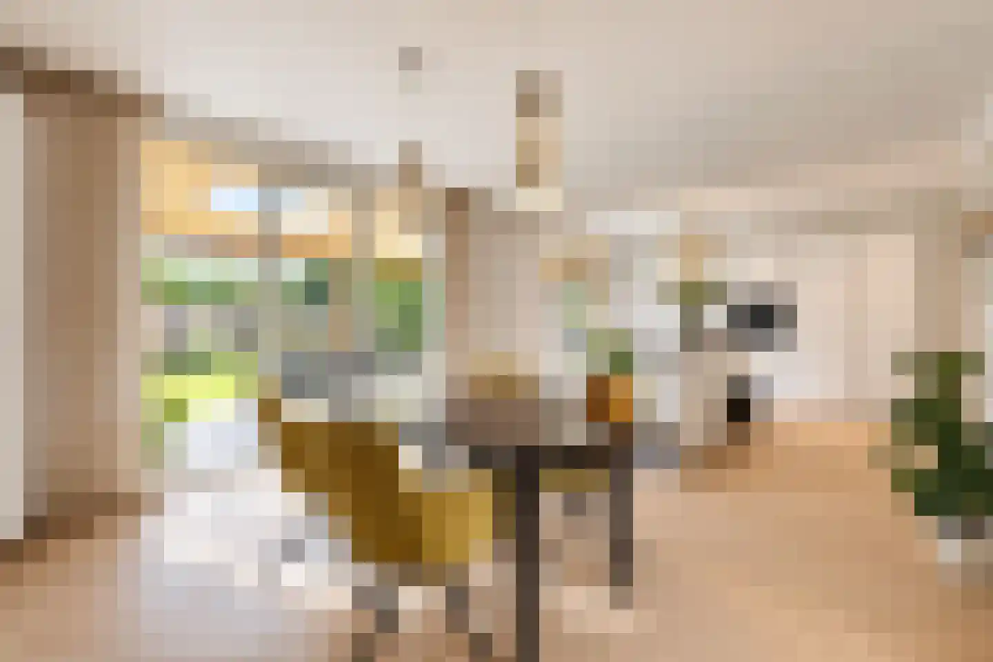 van Elswijckstraat 10 Boxmeer thumbnail 4
