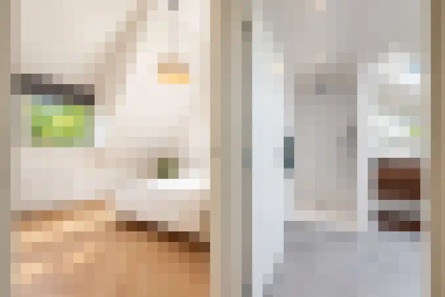 van Elswijckstraat 10 Boxmeer thumbnail 44