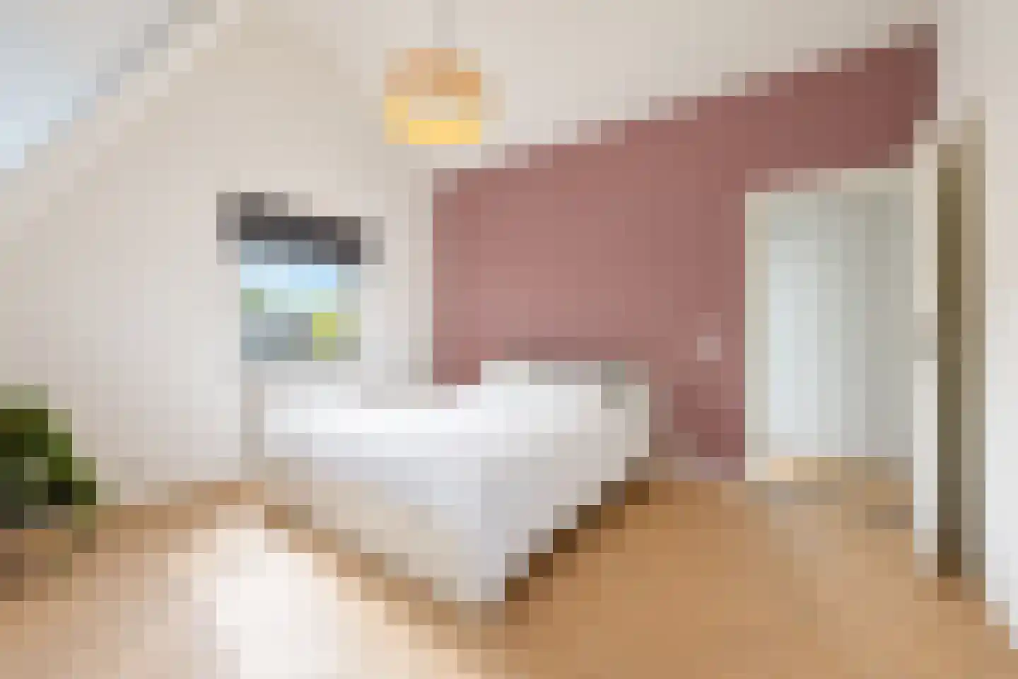 van Elswijckstraat 10 Boxmeer thumbnail 46