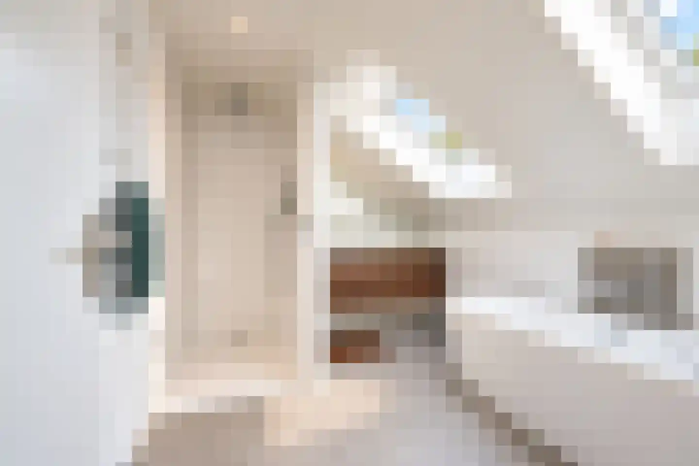 van Elswijckstraat 10 Boxmeer thumbnail 49