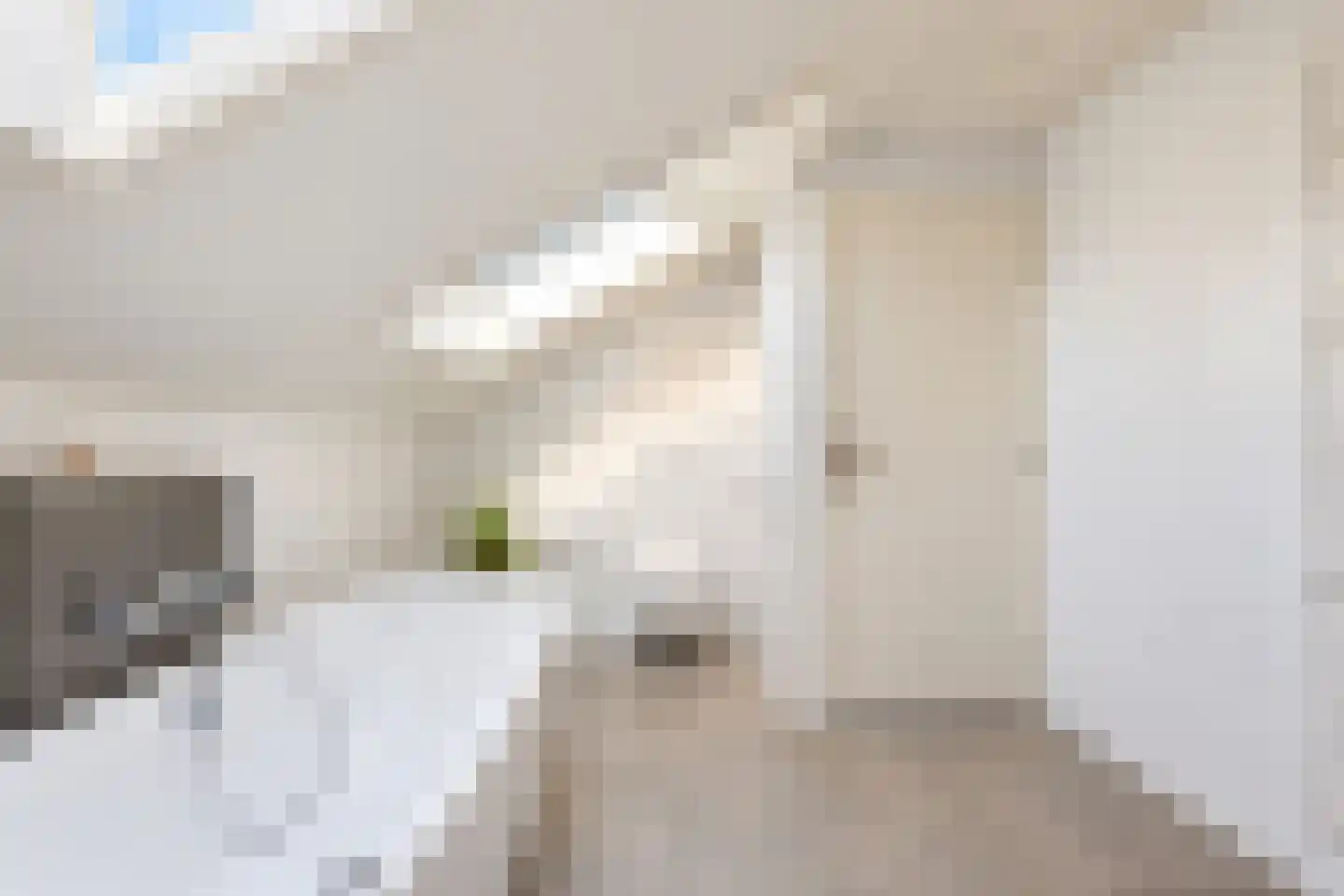van Elswijckstraat 10 Boxmeer thumbnail 50