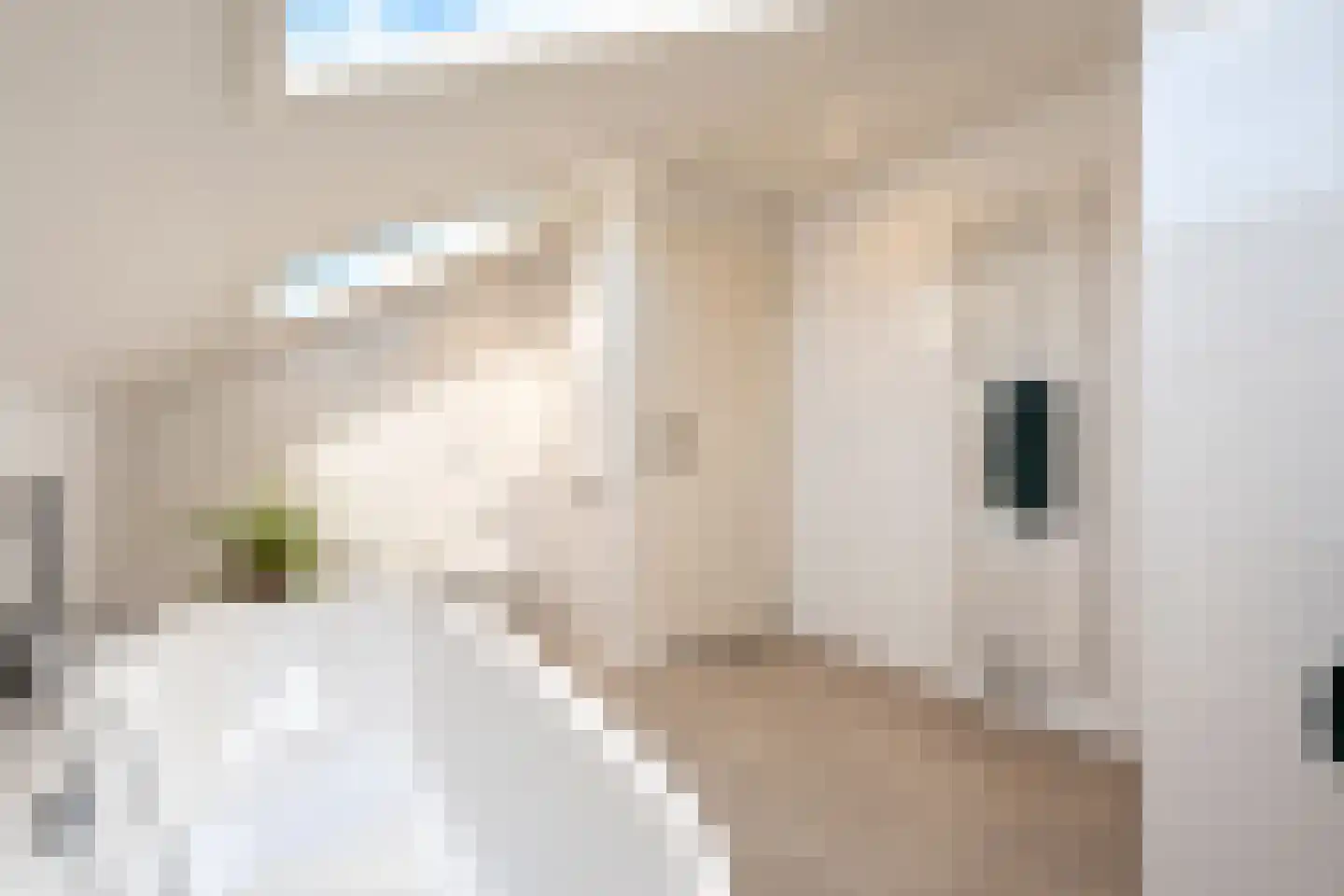 van Elswijckstraat 10 Boxmeer thumbnail 52