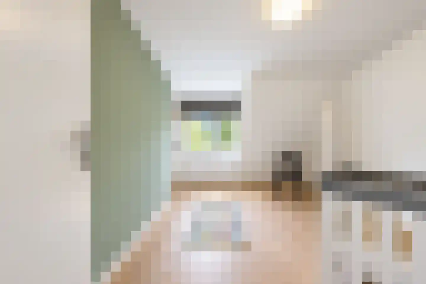 van Elswijckstraat 10 Boxmeer thumbnail 55