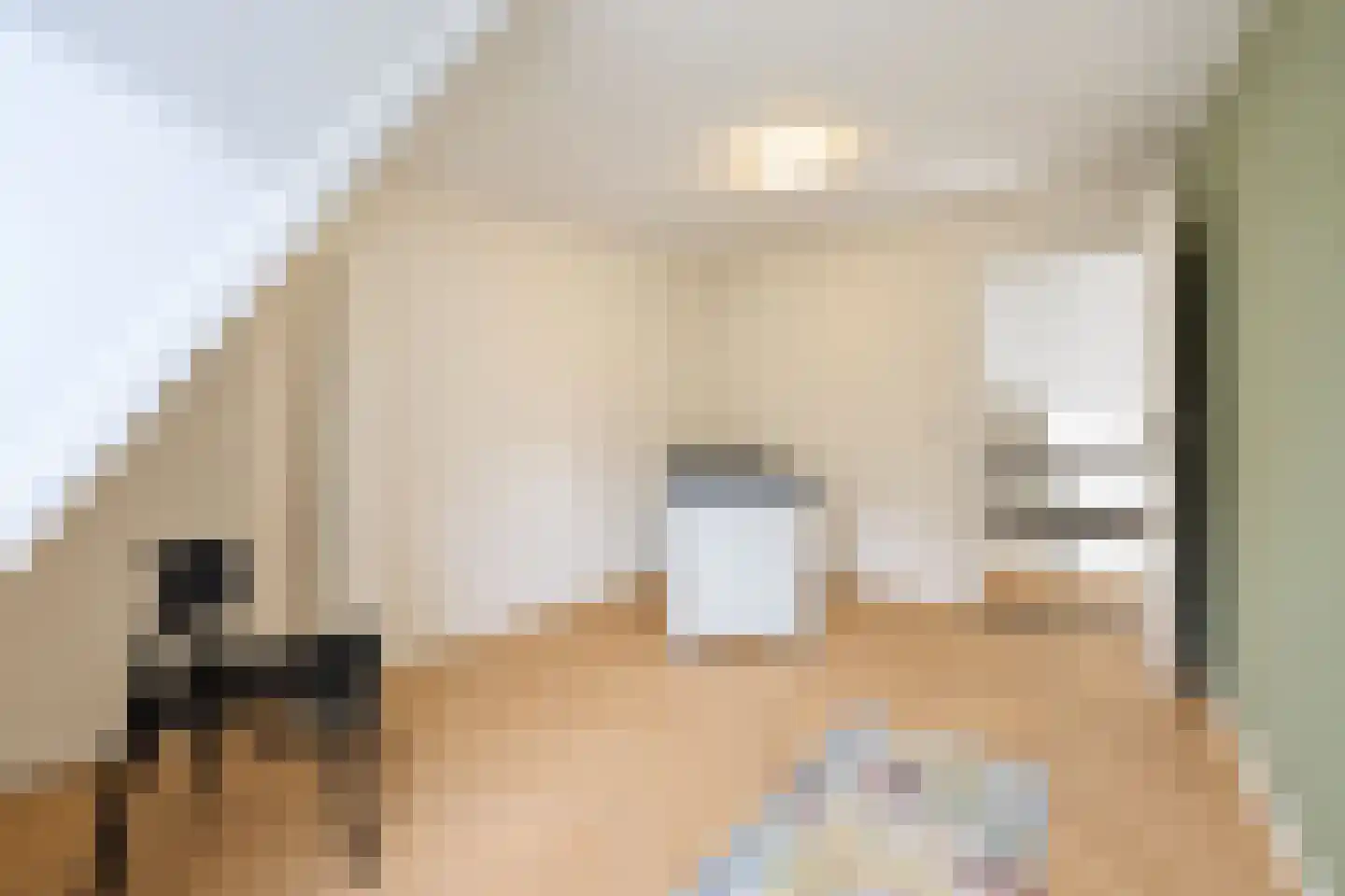 van Elswijckstraat 10 Boxmeer thumbnail 56