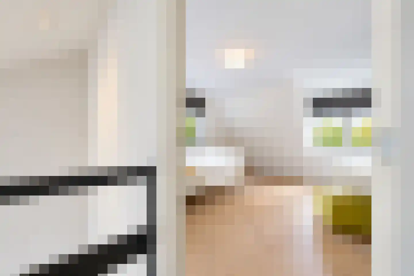 van Elswijckstraat 10 Boxmeer thumbnail 57
