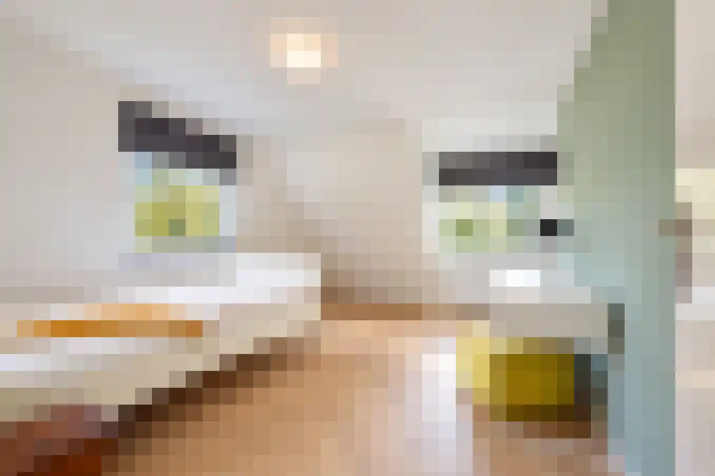 van Elswijckstraat 10 Boxmeer thumbnail 58