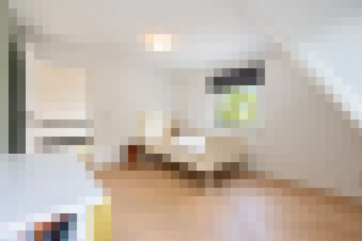 van Elswijckstraat 10 Boxmeer thumbnail 59