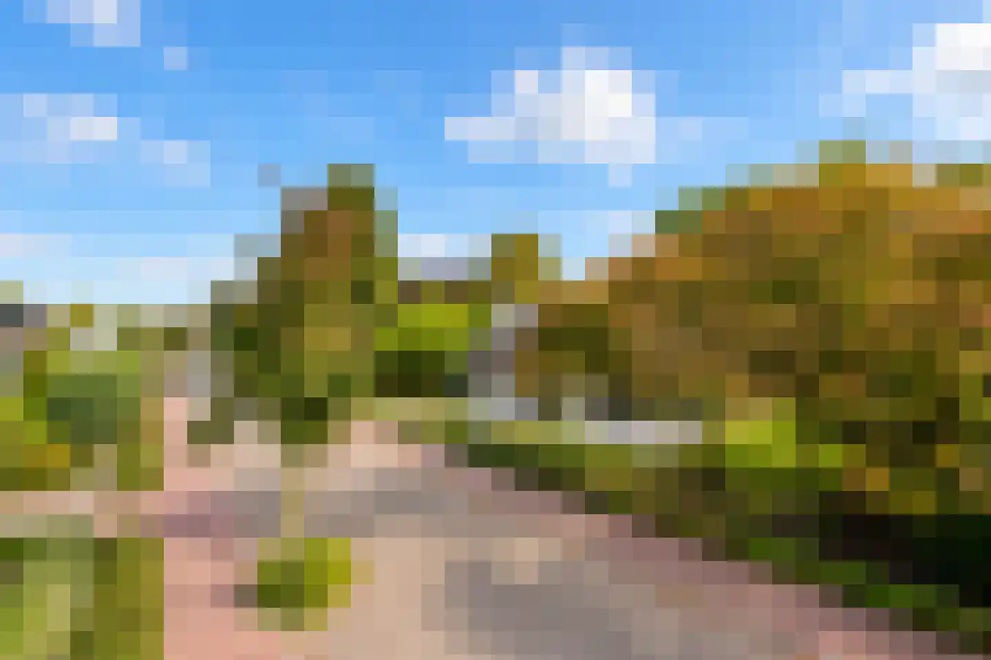 van Elswijckstraat 10 Boxmeer thumbnail 6
