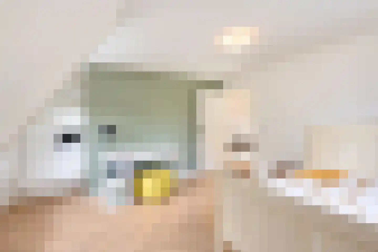 van Elswijckstraat 10 Boxmeer thumbnail 60