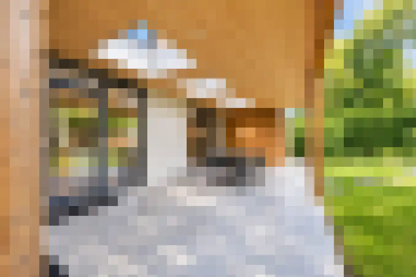 van Elswijckstraat 10 Boxmeer thumbnail 64