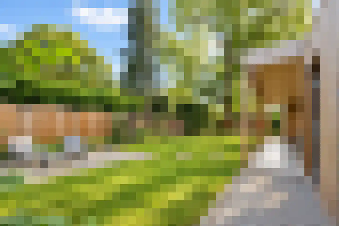 van Elswijckstraat 10 Boxmeer thumbnail 65