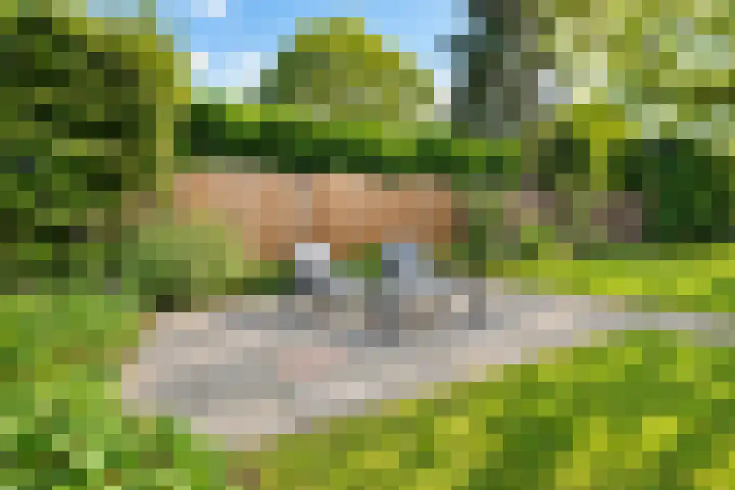 van Elswijckstraat 10 Boxmeer thumbnail 66