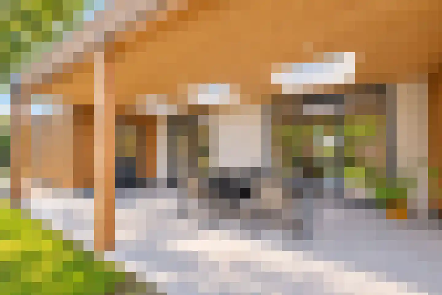 van Elswijckstraat 10 Boxmeer thumbnail 69