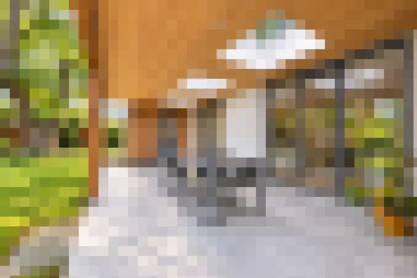 van Elswijckstraat 10 Boxmeer thumbnail 70