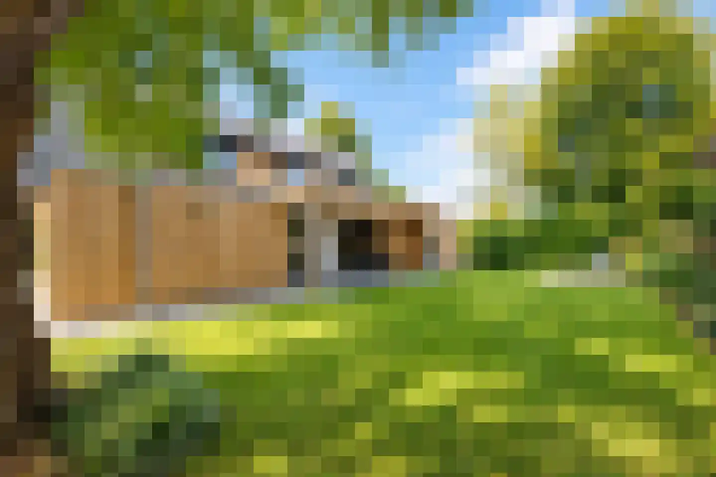 van Elswijckstraat 10 Boxmeer thumbnail 74