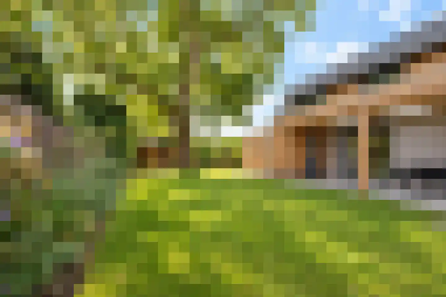 van Elswijckstraat 10 Boxmeer thumbnail 75