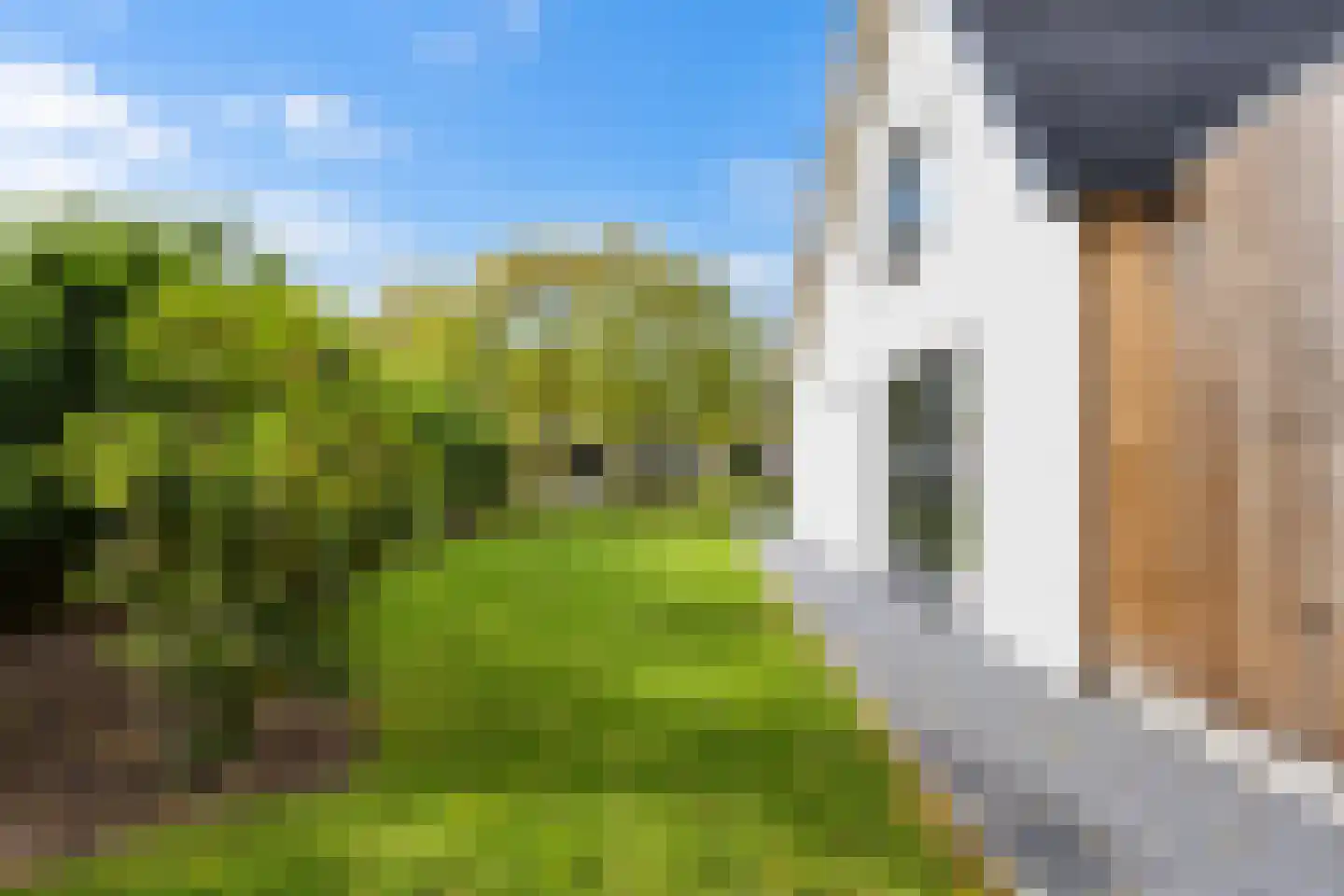 van Elswijckstraat 10 Boxmeer thumbnail 79
