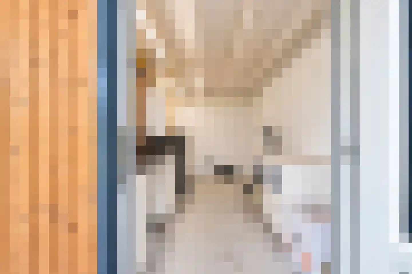 van Elswijckstraat 10 Boxmeer thumbnail 81