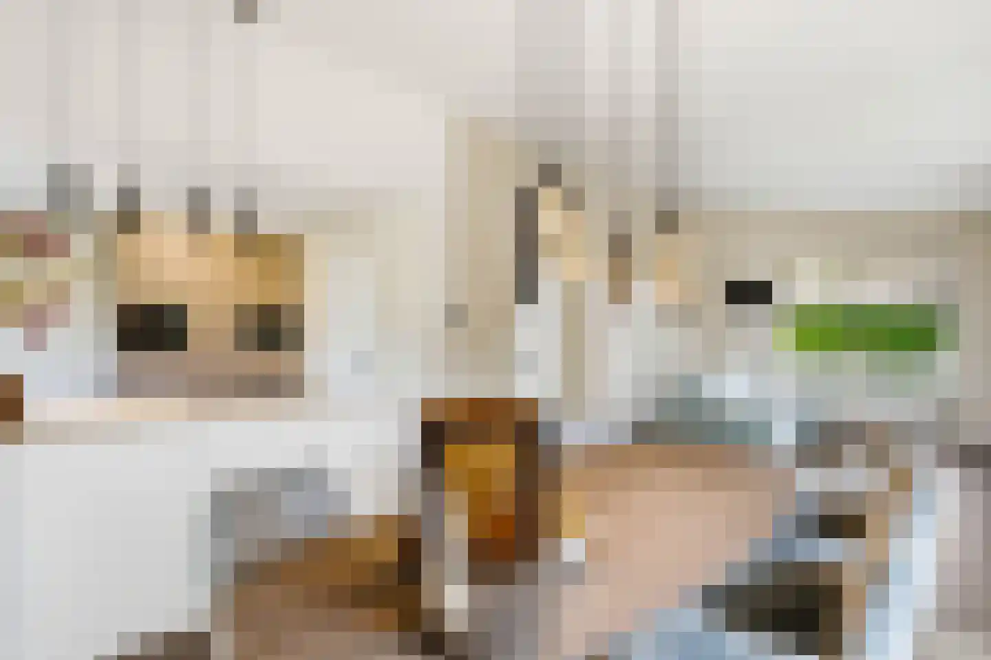 van Elswijckstraat 2 Boxmeer thumbnail 13