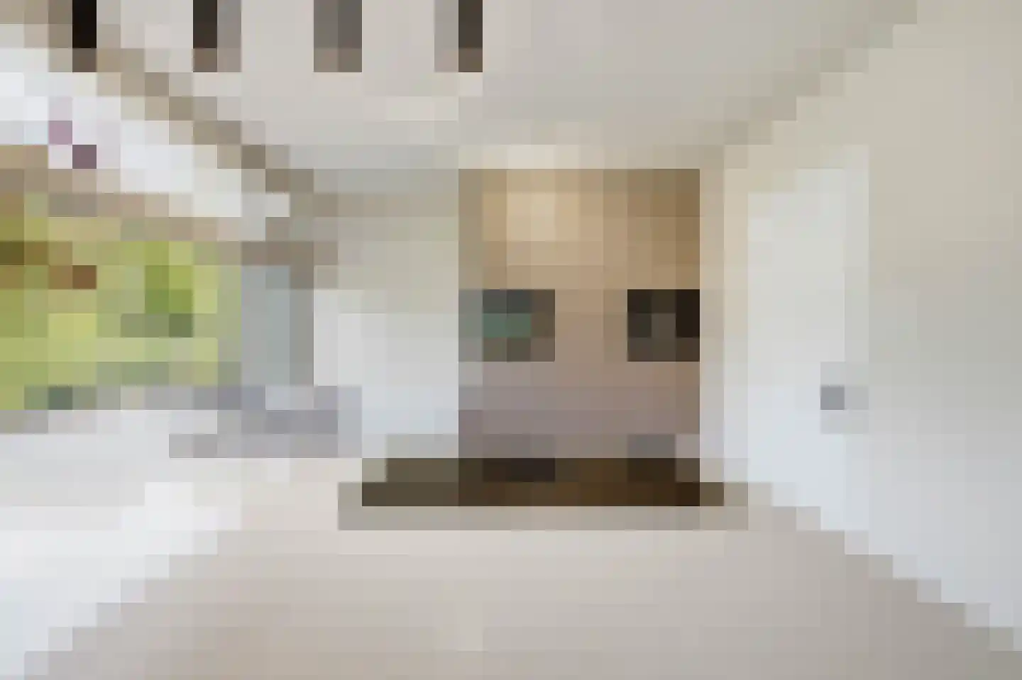 van Elswijckstraat 2 Boxmeer thumbnail 14